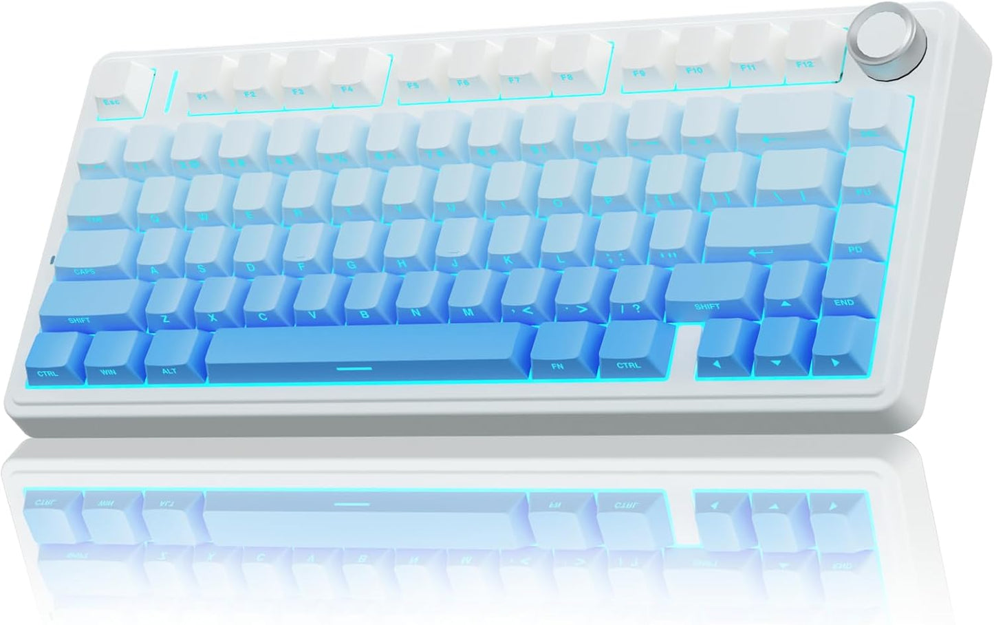 Wireless Mechanical Keyboard