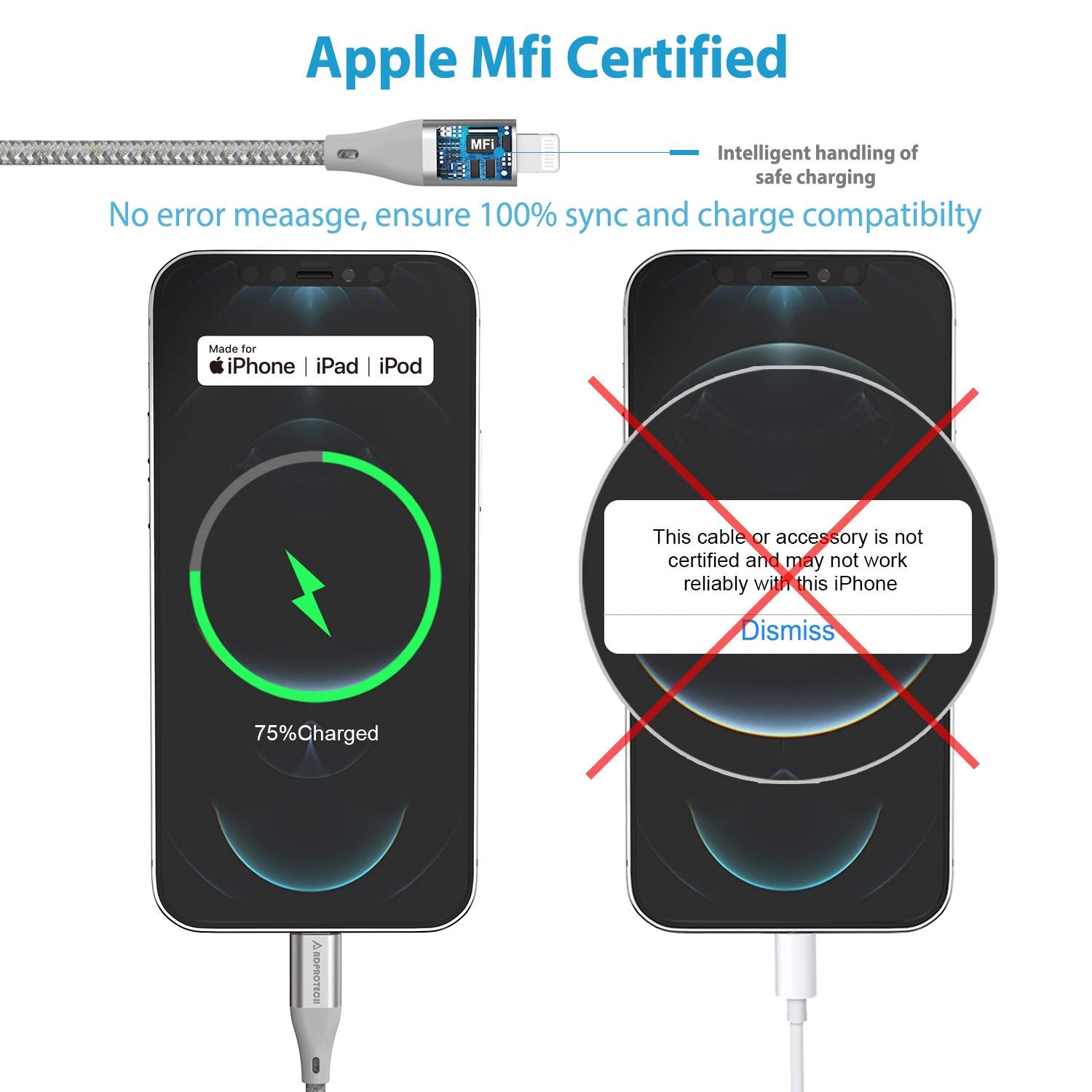 USB C to Lightning Cable